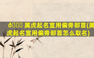 🐎 属虎起名宜用偏旁部首(属虎起名宜用偏旁部首怎么取名)
